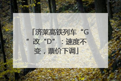 济莱高铁列车“G”改“D”：速度不变，票价下调
