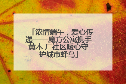 浓情端午，爱心传递——魔方公寓携手黄木 厂社区暖心守护城市蜂鸟