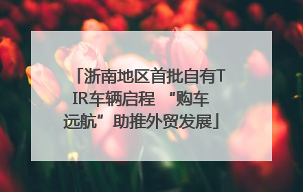 浙南地区首批自有TIR车辆启程 “购车远航”助推外贸发展