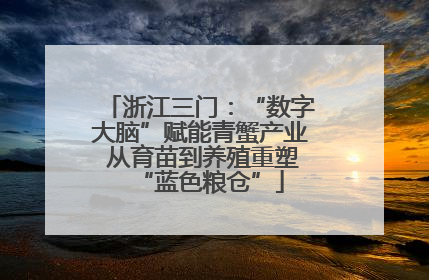 浙江三门：“数字大脑”赋能青蟹产业 从育苗到养殖重塑“蓝色粮仓”