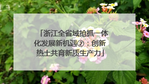 浙江全省域抢抓一体化发展新机遇②：创新热土共育新质生产力