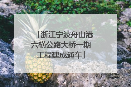 浙江宁波舟山港六横公路大桥一期工程建成通车