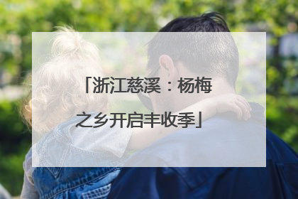 浙江慈溪：杨梅之乡开启丰收季