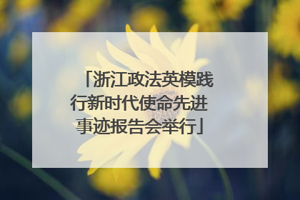 浙江政法英模践行新时代使命先进事迹报告会举行