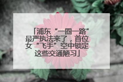 浦东“一圈一路”最严执法来了，首位女“飞手”空中锁定这些交通陋习