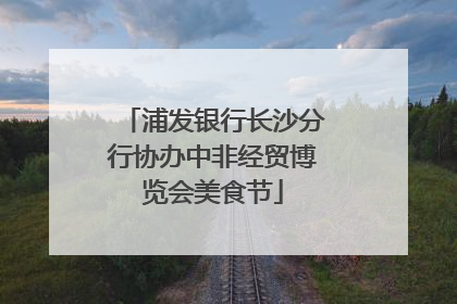 浦发银行长沙分行协办中非经贸博览会美食节