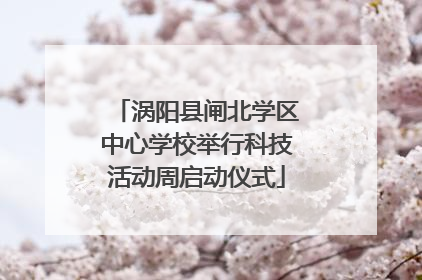 涡阳县闸北学区中心学校举行科技活动周启动仪式