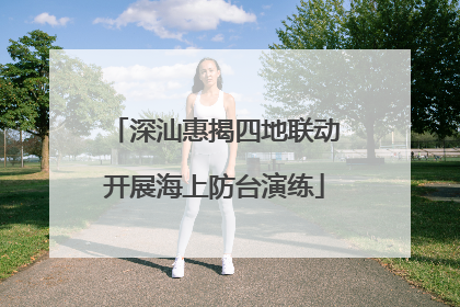 深汕惠揭四地联动开展海上防台演练