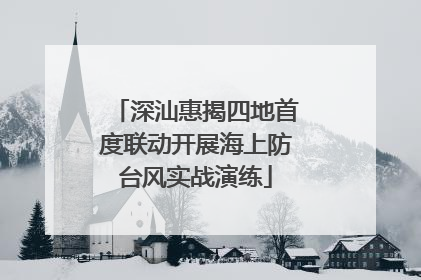 深汕惠揭四地首度联动开展海上防台风实战演练