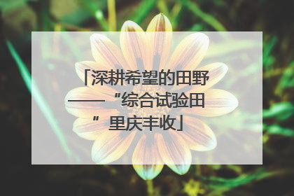深耕希望的田野——“综合试验田”里庆丰收
