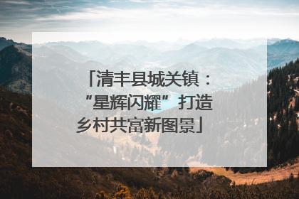 清丰县城关镇：“星辉闪耀”打造乡村共富新图景