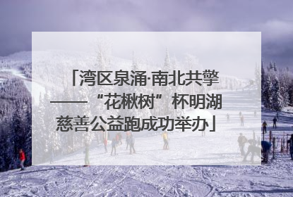 湾区泉涌·南北共擎——“花楸树”杯明湖慈善公益跑成功举办