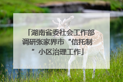 湖南省委社会工作部调研张家界市“信托制”小区治理工作