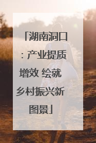湖南洞口：产业提质增效 绘就乡村振兴新图景
