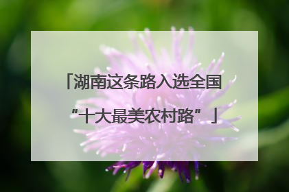 湖南这条路入选全国“十大最美农村路”