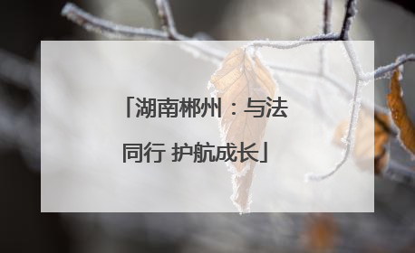 湖南郴州：与法同行 护航成长