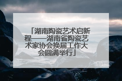 湖南陶瓷艺术启新程——湖南省陶瓷艺术家协会换届工作大会圆满举行