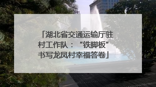 湖北省交通运输厅驻村工作队：“铁脚板”书写龙凤村幸福答卷