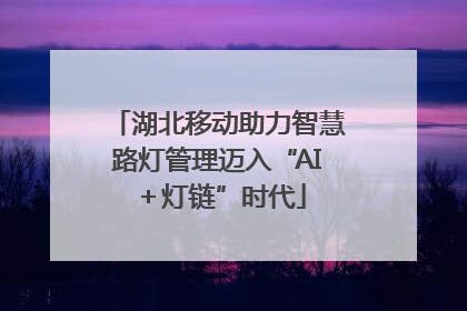 湖北移动助力智慧路灯管理迈入“AI＋灯链”时代