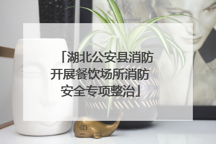 湖北公安县消防开展餐饮场所消防安全专项整治