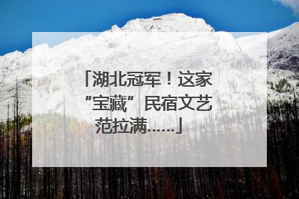 湖北冠军！这家“宝藏”民宿文艺范拉满……