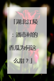 湖北江陵：潘市村的香瓜为何这么甜？