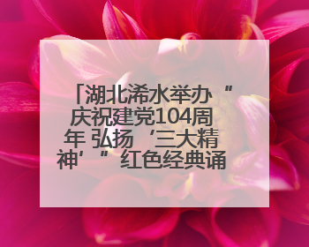 湖北浠水举办“庆祝建党104周年 弘扬‘三大精神’”红色经典诵读活动