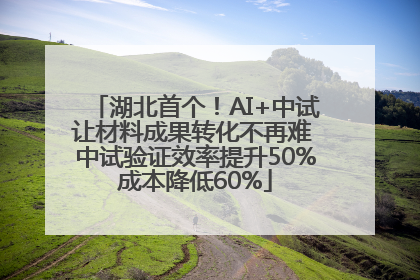 湖北首个！AI+中试让材料成果转化不再难 中试验证效率提升50%成本降低60%