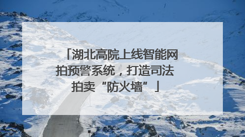 湖北高院上线智能网拍预警系统，打造司法拍卖“防火墙”