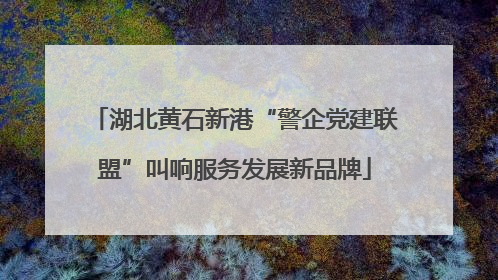 湖北黄石新港“警企党建联盟”叫响服务发展新品牌