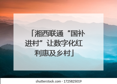 湘西联通“国补进村”让数字化红利惠及乡村