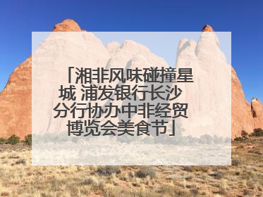 湘非风味碰撞星城 浦发银行长沙分行协办中非经贸博览会美食节