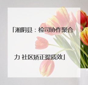 湘阴县：检司协作聚合力 社区矫正提质效