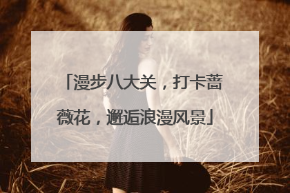 漫步八大关，打卡蔷薇花，邂逅浪漫风景