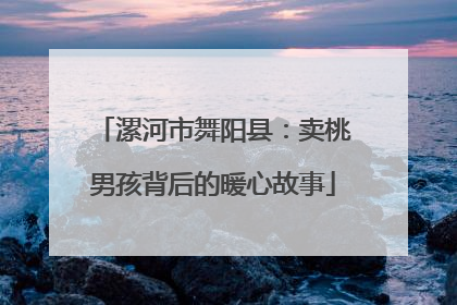 漯河市舞阳县：卖桃男孩背后的暖心故事