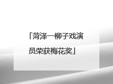 菏泽一柳子戏演员荣获梅花奖