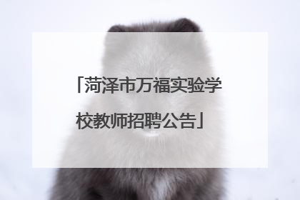 菏泽市万福实验学校教师招聘公告