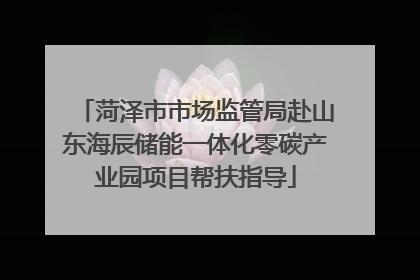 菏泽市市场监管局赴山东海辰储能一体化零碳产业园项目帮扶指导