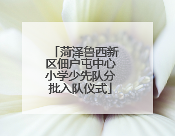 菏泽鲁西新区佃户屯中心小学少先队分批入队仪式