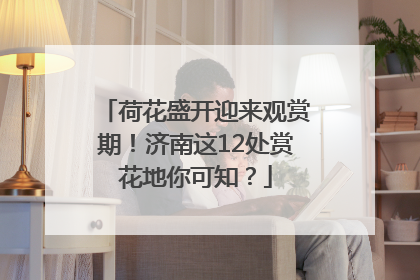 荷花盛开迎来观赏期！济南这12处赏花地你可知？