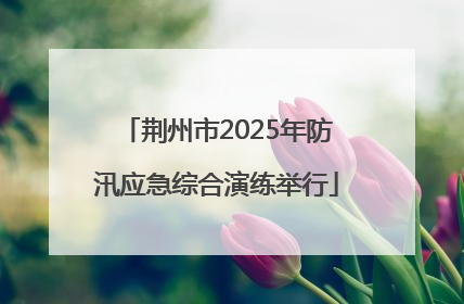 荆州市2025年防汛应急综合演练举行