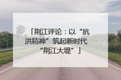荆江评论：以“抗洪精神”筑起新时代“荆江大堤”