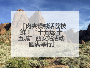 肉夹馍喊话荔枝鲜！“十五运·十五城”西安站活动圆满举行