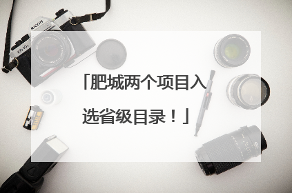 肥城两个项目入选省级目录！