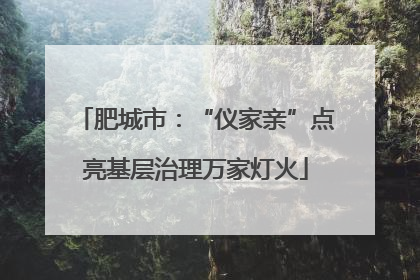 肥城市：“仪家亲”点亮基层治理万家灯火