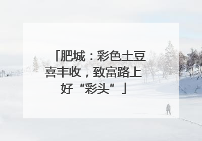 肥城：彩色土豆喜丰收，致富路上好“彩头”