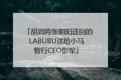 胡润将张朝阳送回的LABUBU送给小马智行CEO彭军