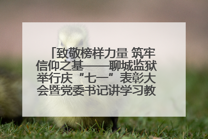 致敬榜样力量 筑牢信仰之基——聊城监狱举行庆“七一”表彰大会暨党委书记讲学习教育专题党课