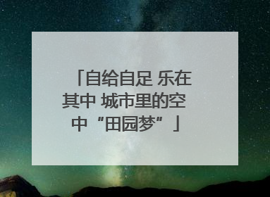 自给自足 乐在其中 城市里的空中“田园梦”