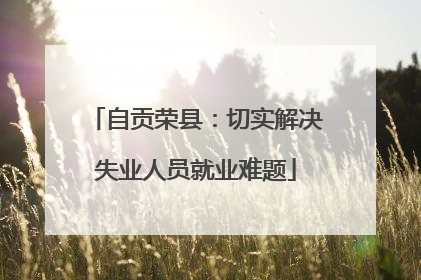 自贡荣县：切实解决失业人员就业难题